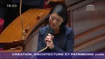 Vote en première lecture du projet de loi 