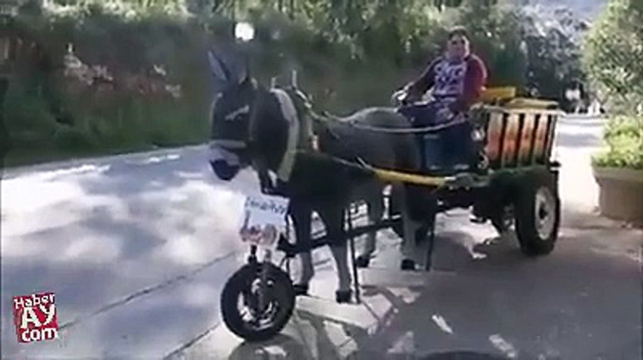 Khota Chingchi