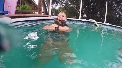 Stephanie Arne nage avec des otaries