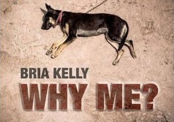 Powerful Anti-Animal Abuse Video Depicts Humans as Dogs