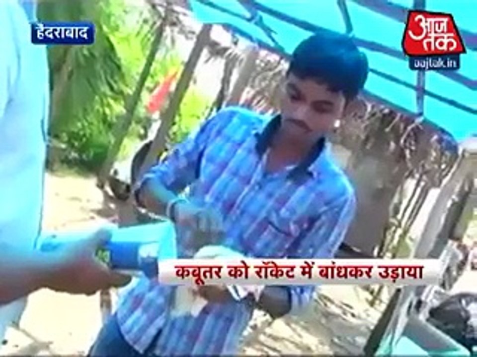 Shocking Video in India How People Burned Pigeon Alive