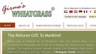 What Are The Benefits Of Organic Wheat Grass Powder?