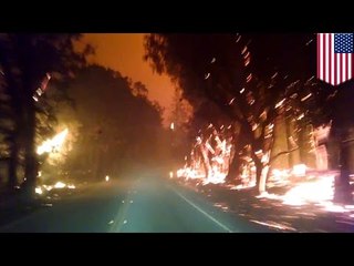 한 가족, 한밤중 화재가 난 산에서 탈출하는 비디오 공개