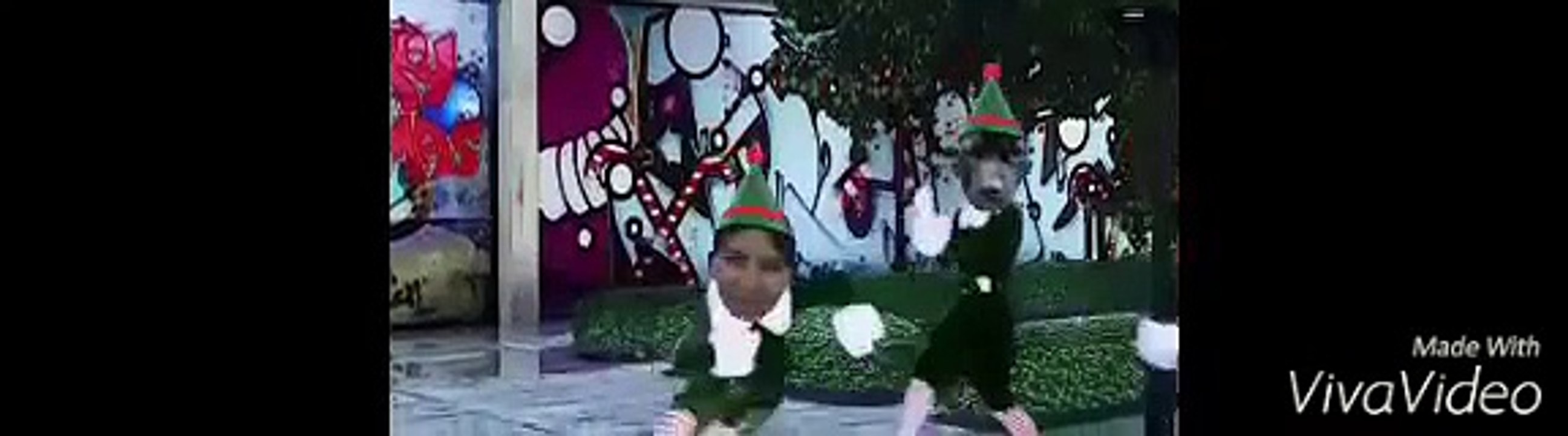 A little funny Christmas video