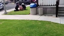 California police punching a woman and they call us terrorist