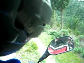 Geg and toto  en foret