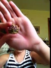 Shopkins fashion spree ballet review