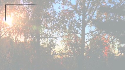 6 Quick & Easy Tumblr Hairstyles | Fall⌒Autumn