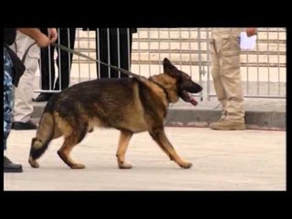 Masat e sigurisë, Shqipëri- Serbi, nga nesër bllokim i pjesshëm i autostradës- Ora News