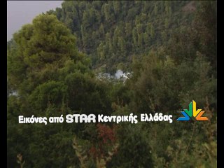 Έκαψαν τη χασισοφυτεία στον Άγιο Κωνσταντίνο