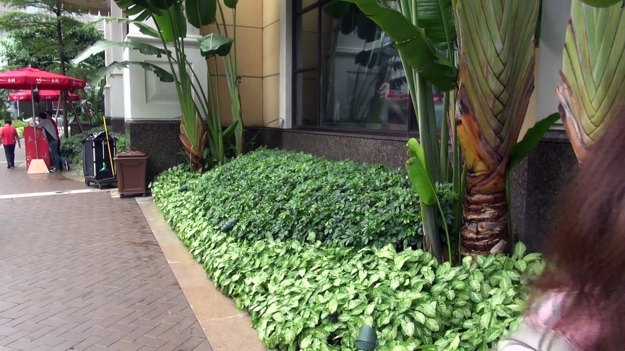 #9. Lisboa casino hotel the way & Fountain Show Wynn Casino Hotel. 5959Travel in MACAU : 리스보아 호텔 가는길