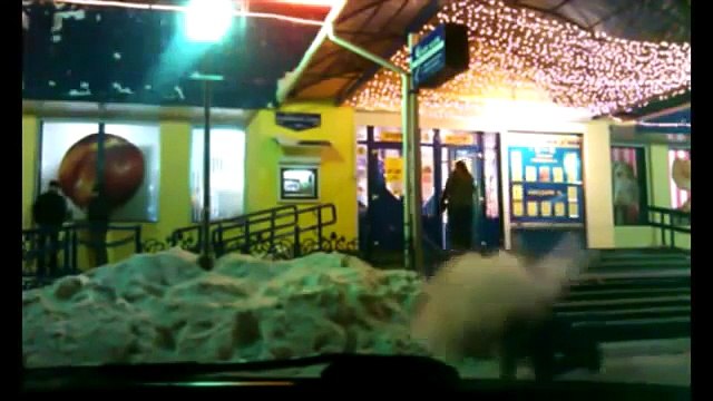 Geçen haftanın komik ve eğlenceli videoları! Komik Videolar Komedi ve Eğlence izle (video)