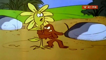 PIERNAS LOCAS CRANE ♦ Fuerza Floral ♦ Audio Latino