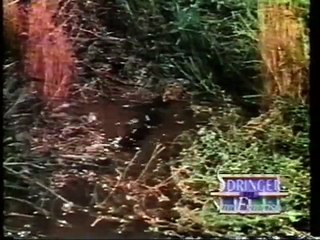 From 1993: Jerry Springer with the Beverly Hillbillies Cast, pt. 1 of 2!!