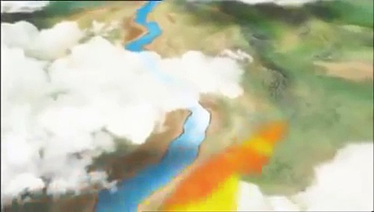 Bernard The Funny Bear Sky Diving