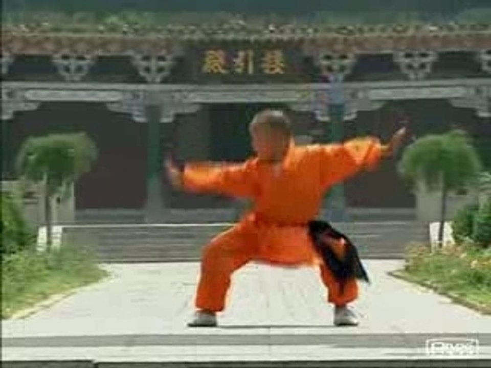 Shaolin Wushu