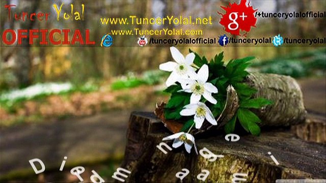 İlahi Dinle Derdime Dermana Geldim İlahiler, İlahi Sözleri