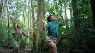 Tôi Thấy Hoa Vàng Trên Cỏ Xanh [ Official MV Mucic] by Ái Phương
