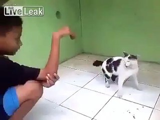 Позорно сбежал с поля битвы )