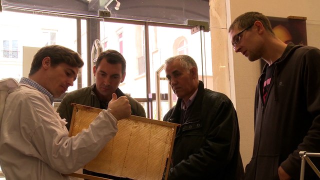 Première récolte de miel au ministère de l'Intérieur