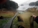 Black Bear Gnaws on Delta 15s Seakayak in Berg Bay, Alaska - Video Dailymotion