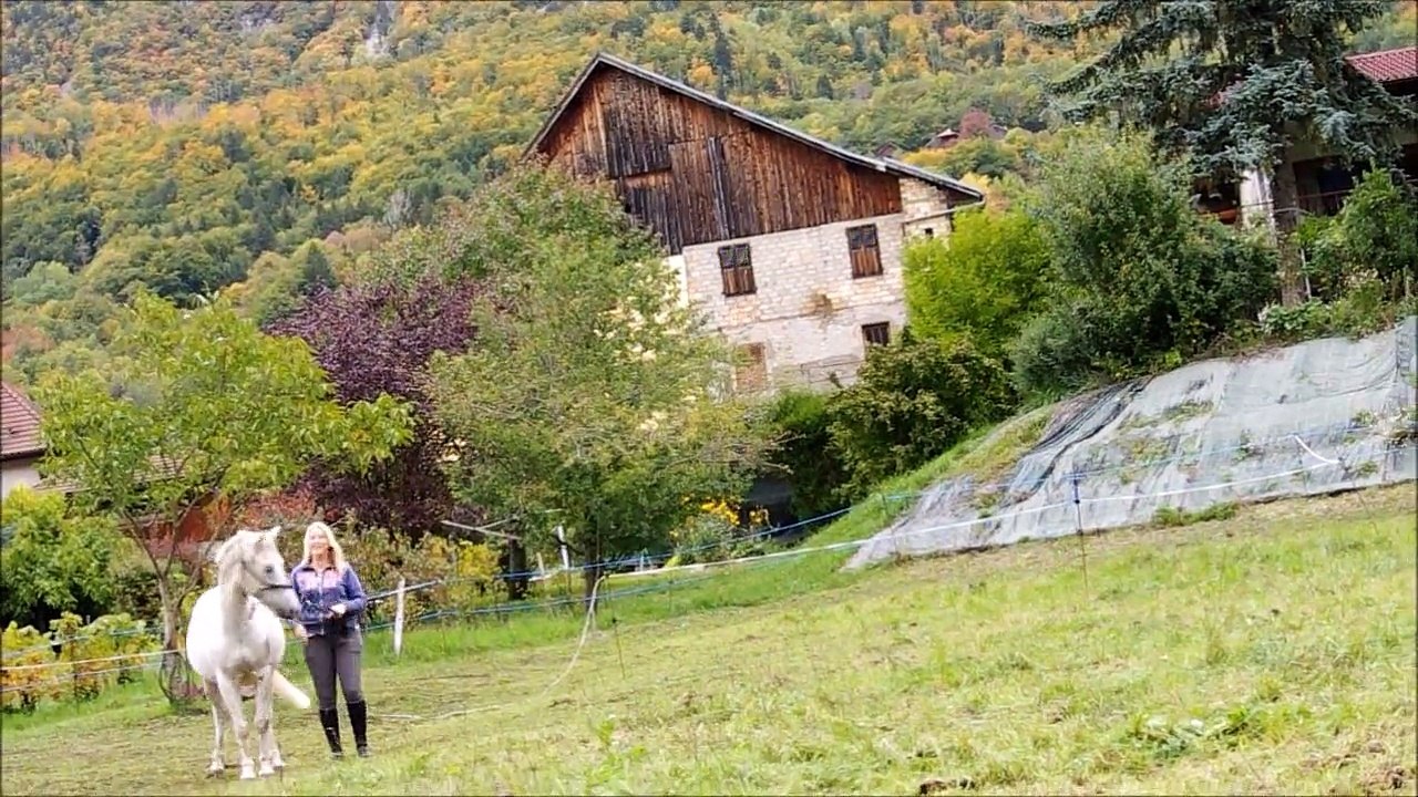 Kookaï  liberté -travail monté en licol