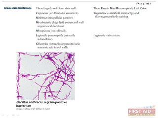 Microbiology Clinical Bacteriology Part 1