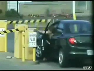 LOL | Women Driving | Girls Driving | Awlla Inc.