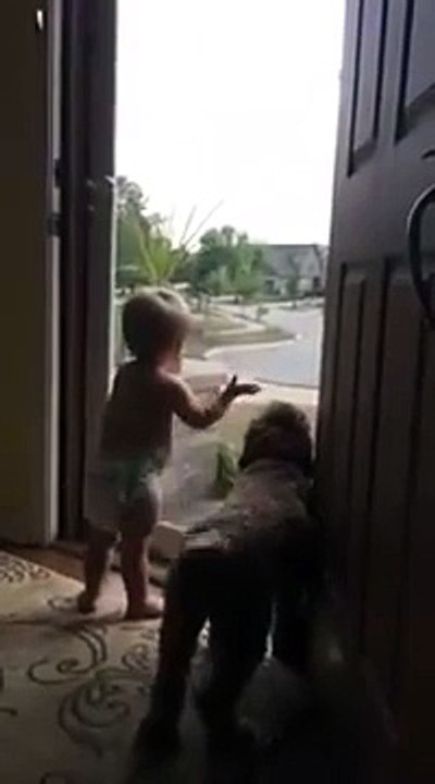 Quand bébé et toutou accueillent papa de retour du travail : trop mignon