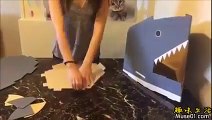 Une litière pour chat en forme de requin!