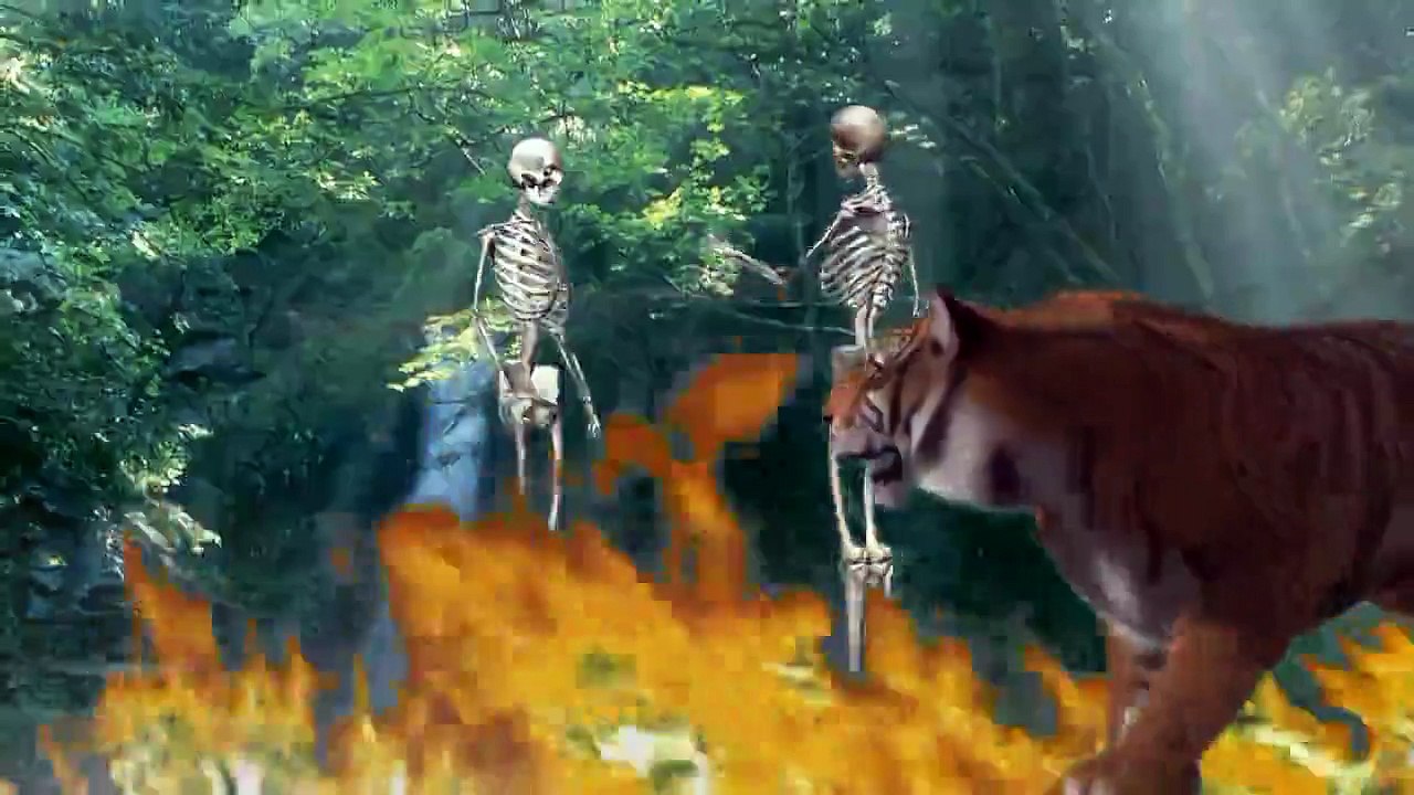 Tiger & Monkey Fight