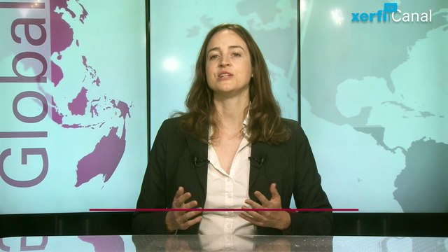 Kathryn McFarland, Xerfi Canal Semiconductor Groups