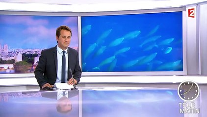 La biodiversité des océans est menacée