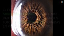 Fotos de ojos tomadas desde muy cerca que te dejarán atónito por su singular belleza