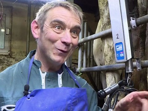 L'aromathérapie est dans le pré, pour le bien-être des bêtes et des éleveurs