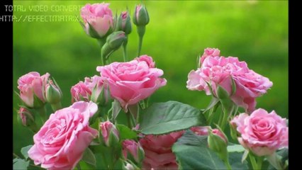 Dj mMani Jaago with mMani on FM 97 sunrise Islamabad, in 2011. A Jaago Show Clip