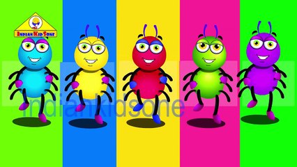 Spider Finger Family | Finger Family | Nursery Rhymes For Children