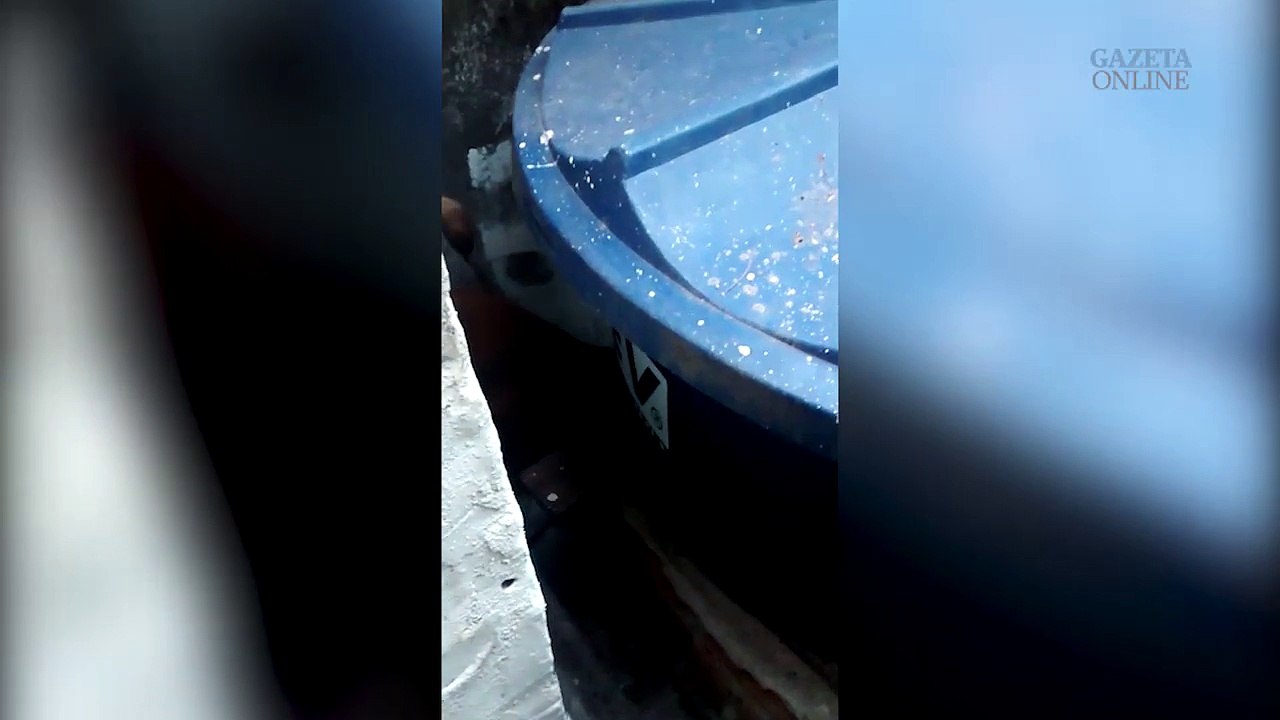Cadela do BME encontra drogas em local de difícil acesso