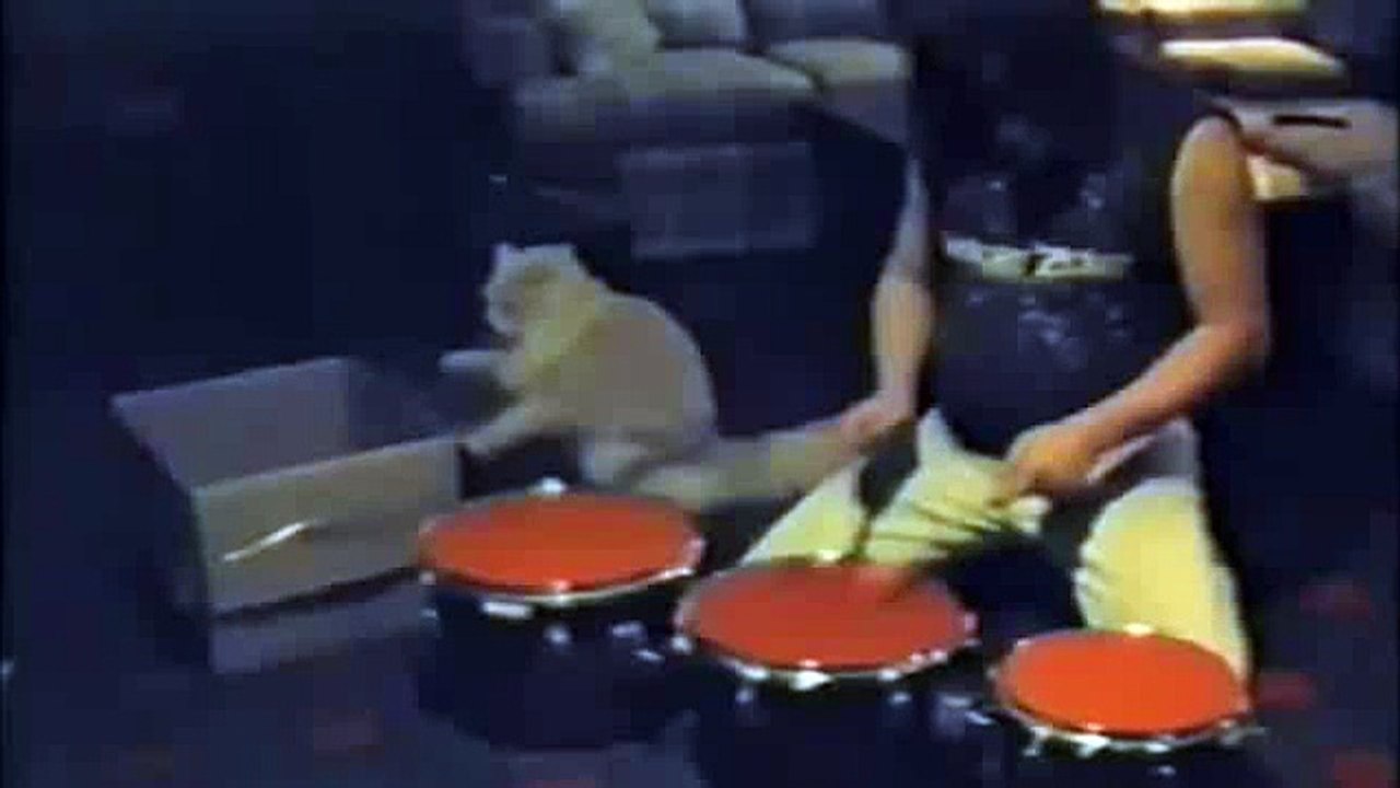 Drummer Cat! Le chat qui fait de la batterie avec son maitre! Duo de feu....
