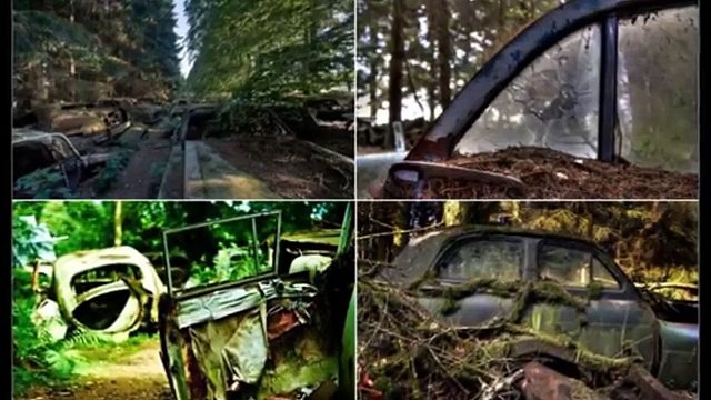 70 Years Long Traffic Jam Discovered In Belgian Forest