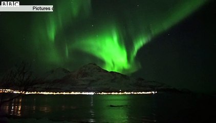 Whales bask under Northern Lights in Norway