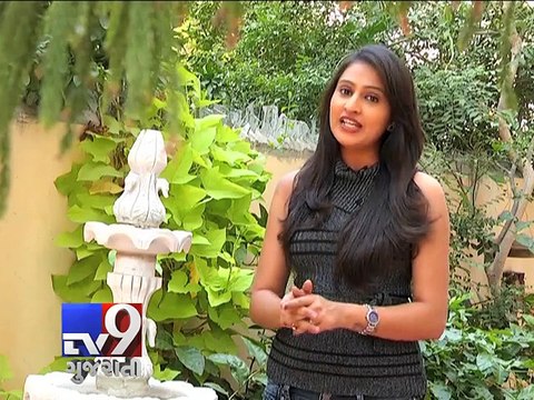 Navratri Special : Beauty Tips For Nine Glamorous Nights - Tv9 Gujarati