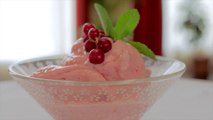 Recette Dessert Sorbet Lait végétal Lait de riz Oléagineux Smoothie Blender OmniBlend France