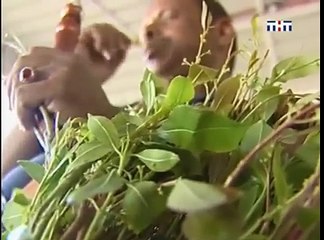 staroetv.su / Шоу Ньюs (ТНТ, 30.09.2007) 2 выпуск