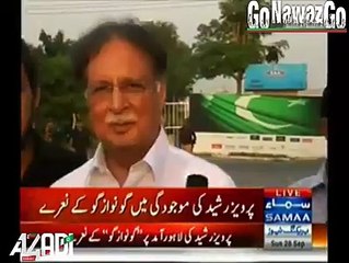 against Pervaiz Rasheed PMLN