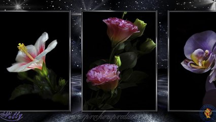 Очарование цветов Елены Ерёминой