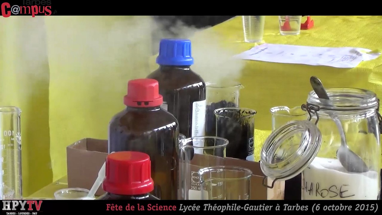 [TARBES CAMPUS] Fête de la Science à Théo (6 octobre 2015)