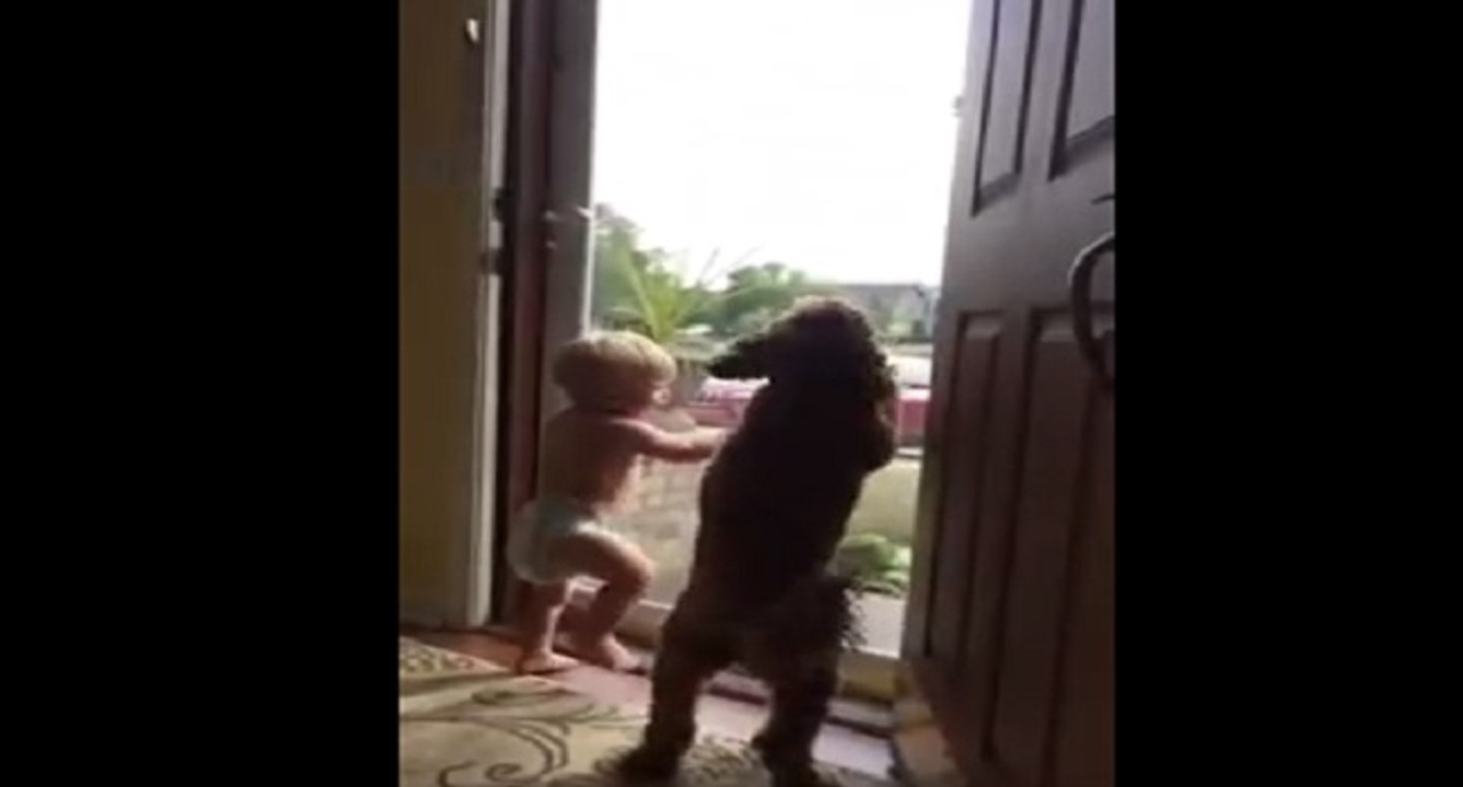 Bébé et le chien, très content de voir papa rentrer