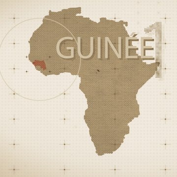 Guinée: comprendre l'élection présidentielle en 5 minutes
