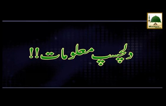 Dilchasp Malomat - Maulana Ilyas Qadri - Short Bayan